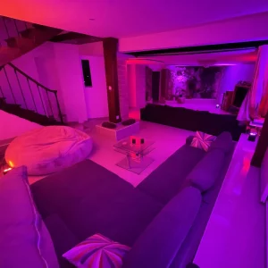 LE MANOIR DU 92 (92000)