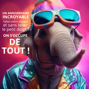 TOUT POUR RÉUSSIR VOTRE  ANNIV ! 29 choix, selon vos envies et votre budget !