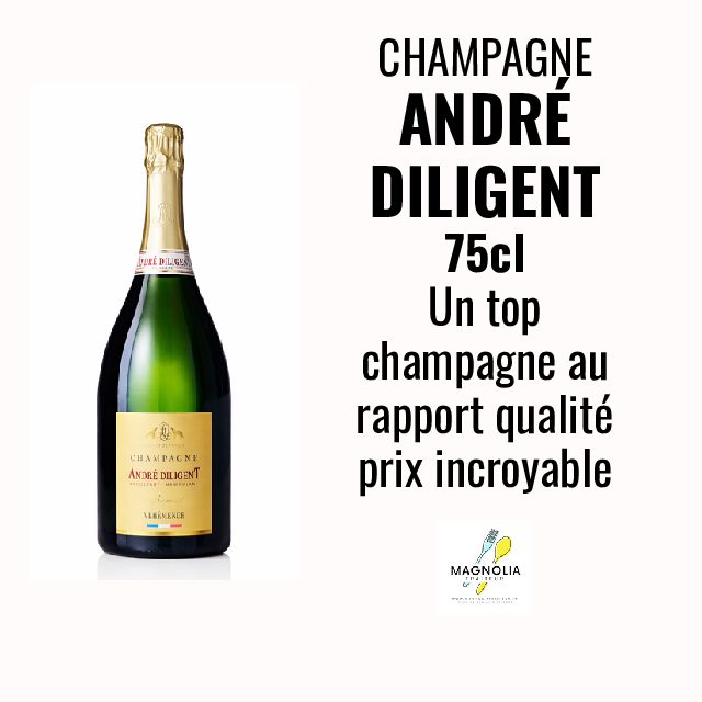 CHAMPAGNE ANDRÉ DILIGENT (Brut Blanc 75cl)