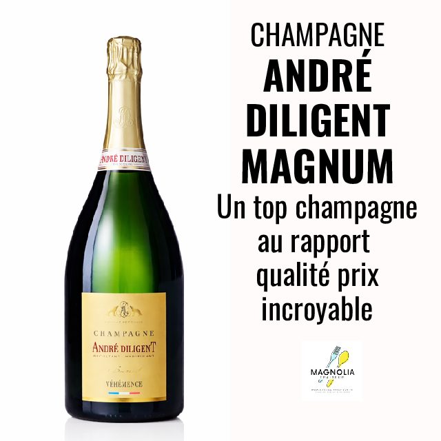 MAGNUM DE CHAMPAGNE ANDRÉ DILIGENT (Brut Blanc de blanc 150cl)