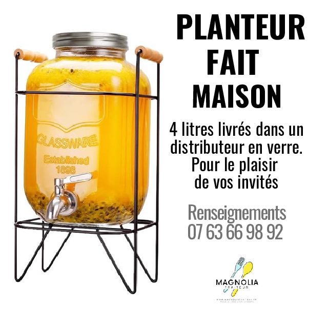 PLANTEUR FAIT MAISON (4 Litres