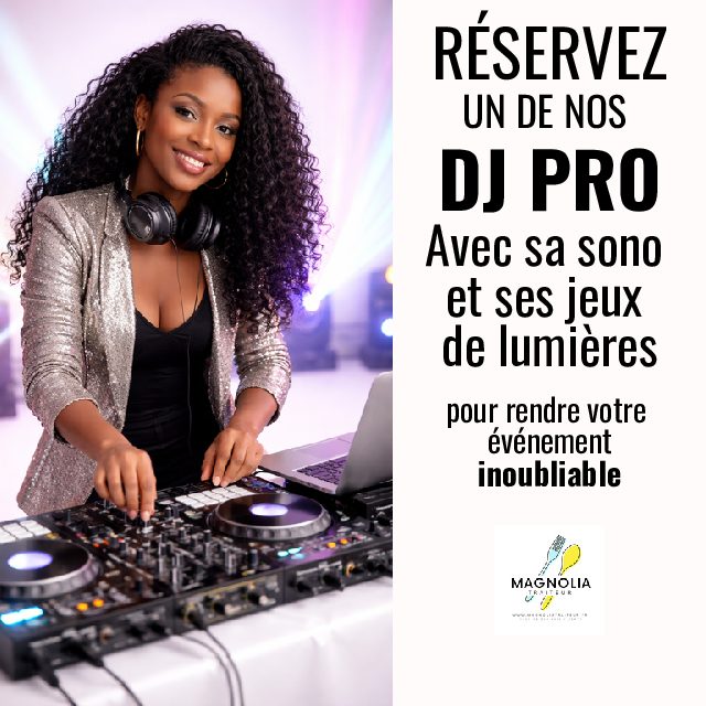 DJ PROFESSIONNEL(LE) AVEC SON ORDI SA PLATINE SA SONO & SES JEUX DE LUMIERES